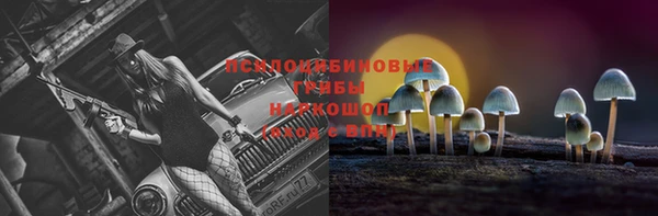 амф Абаза