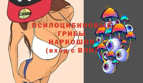 мдпв Абинск