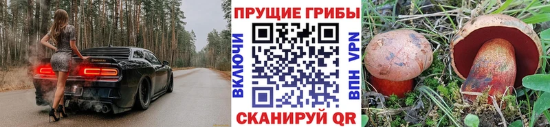 Галлюциногенные грибы MAGIC MUSHROOMS  Серафимович 